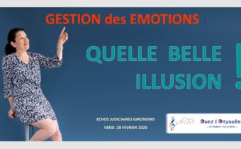gestion des emotions - chronique par Clio Franguiadakis - Osez l'Odyssee