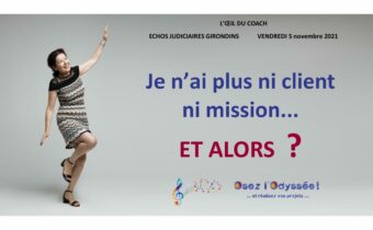 plus de clients ni mission - chronique par Clio Franguiadakis - Osez l'Odyssee